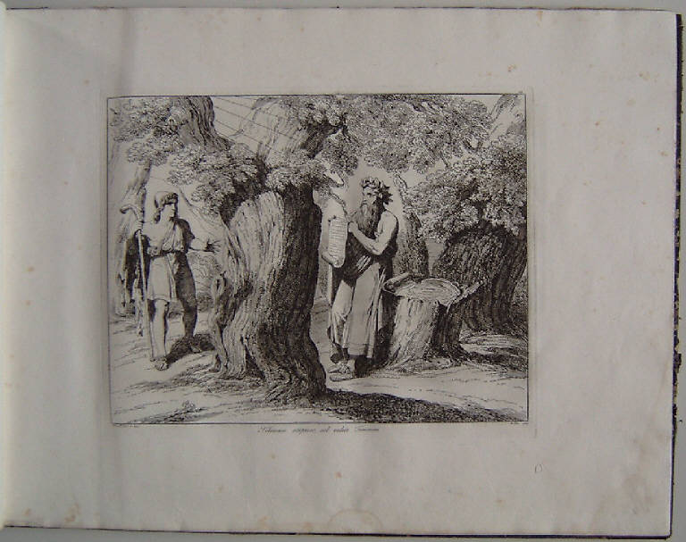 Telemaco e Temosiri (stampa, elemento d'insieme) di Pinelli Bartolomeo, Pinelli Bartolomeo (sec. XIX)