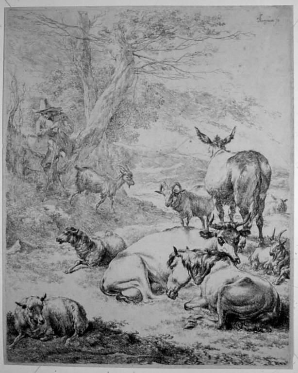 Animali (stampa, serie) di Berchem Nicolaes, Berchem Nicolaes (sec. XVII)