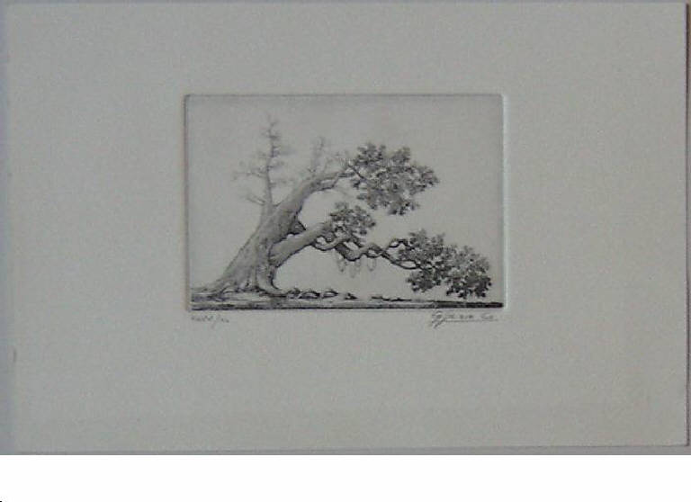 Il grande solitario, Albero (stampa) di Zecchi Luigi, Zecchi Luigi (inizio sec. XXI)