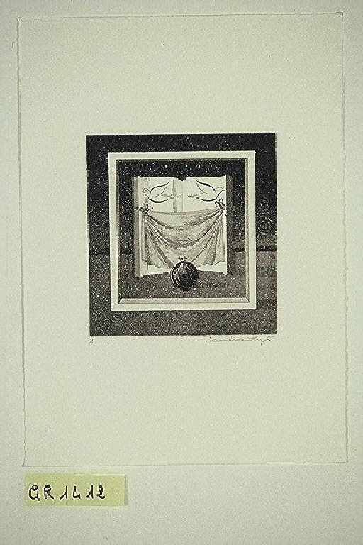 Libro (stampa, elemento d'insieme) di Sandroni Luigi, Sandroni Luigi (fine sec. XX)