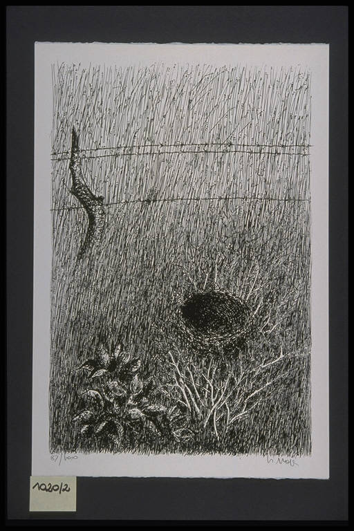 Paesaggio con nido (stampa, elemento d'insieme) di Pes Lino, Pes Lino (terzo quarto sec. XX)