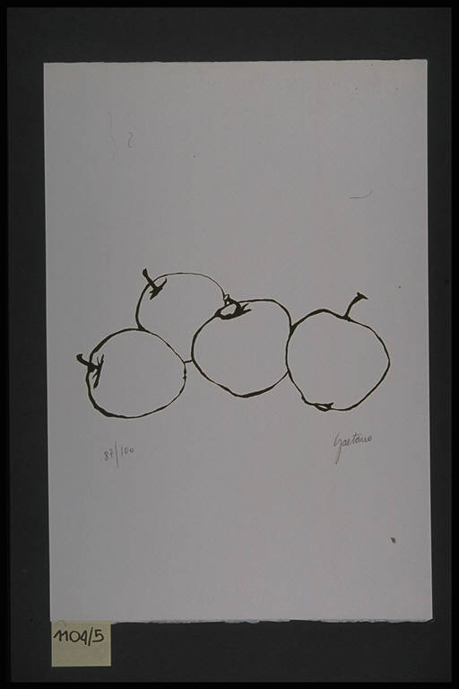 Quattro mele (stampa, elemento d'insieme) di Sandri Gaetano, Sandri Gaetano (terzo quarto sec. XX)