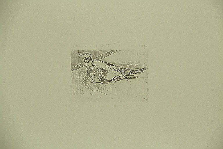 Uccello (stampa, elemento d'insieme) di Treccani Ernesto, Treccani Ernesto (terzo quarto sec. XX)