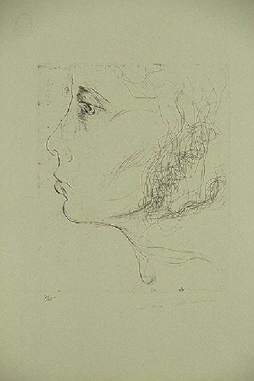 Ritratto femminile di profilo (stampa, elemento d'insieme) di Treccani Ernesto, Treccani Ernesto (terzo quarto sec. XX)