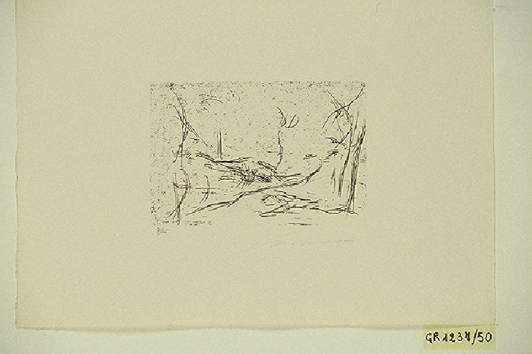 Paesaggio con alberi (stampa, elemento d'insieme) di Treccani Ernesto, Treccani Ernesto (terzo quarto sec. XX)