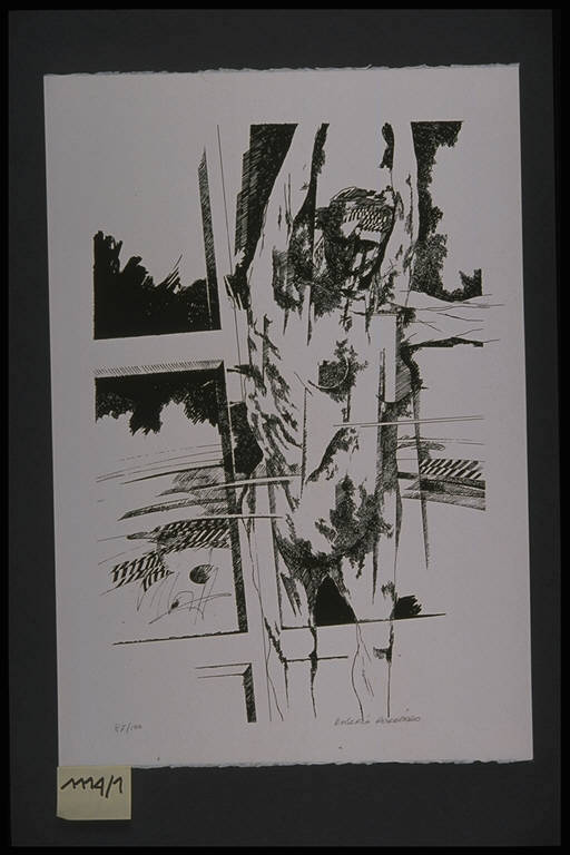 stampa, serie di Ruggiero Rosario, Ruggiero Rosario (terzo quarto sec. XX)