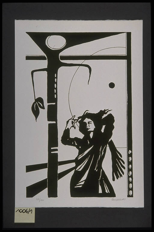 stampa, serie di Boccardini Luciano, Boccardini Luciano (terzo quarto sec. XX)