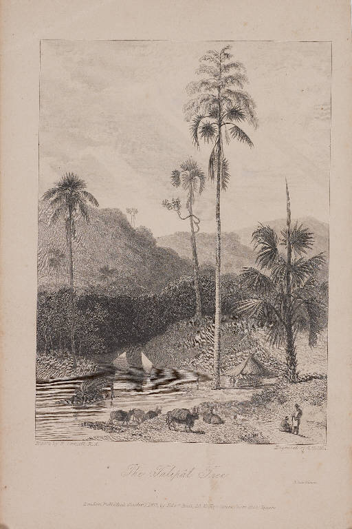 Paesaggi asiatici (stampa smarginata, serie) di Daniell William, Daniell William (ultimo quarto sec. XIX)