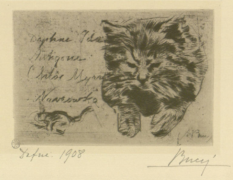 Dafne, Gatto (stampa) di Bucci Anselmo (sec. XX)