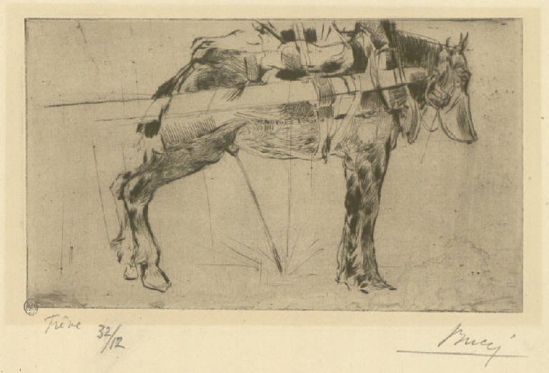 Treve, Cavallo in sosta (stampa) di Bucci Anselmo (sec. XX)