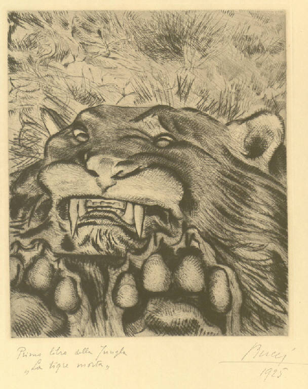 La tigre morta, Tigre (stampa) di Bucci Anselmo (sec. XX)