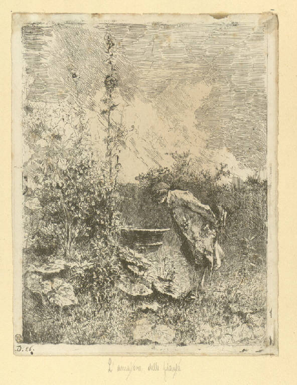 Il botanico, Figura maschile in un giardino (stampa smarginata) di Fortuny y Marsal Mariano (sec. XIX)