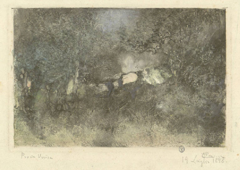 Bosco, Paesaggio con alberi (Stampa) di Mariani Pompeo, Mariani Pompeo (sec. XIX)