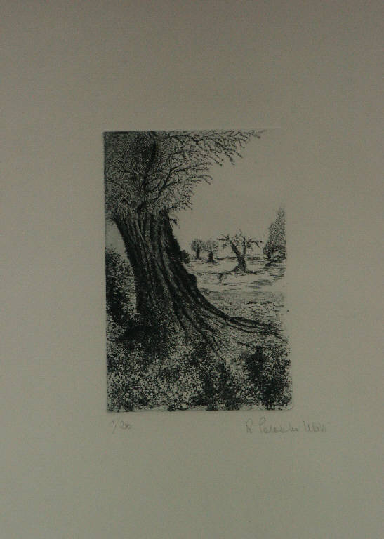 Paesaggio con alberi (stampa) di Paloschi Ulivi Rachele, Paloschi Ulivi Rachele (sec. XX)