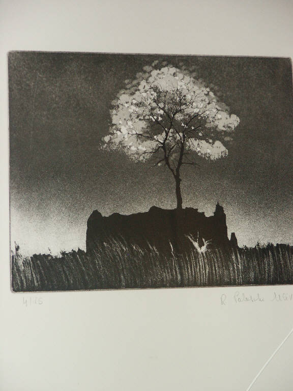 Paesaggio con albero (stampa) di Paloschi Ulivi Rachele, Paloschi Ulivi Rachele (sec. XX)