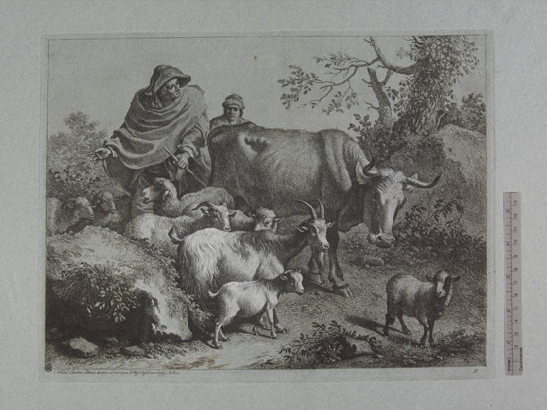 Pastore con mantello che conduce un gregge, Pastori con gregge (stampa ritoccata a mano) di Londonio Francesco, Londonio Francesco (sec. XVIII)