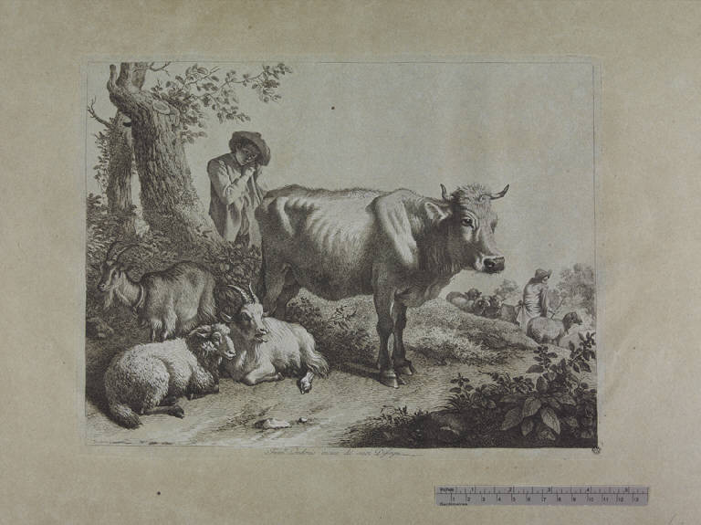 Mucca ritta, pastorello e gregge, Pastorello con gregge (stampa ritoccata a mano) di Londonio Francesco, Londonio Francesco (sec. XVIII)