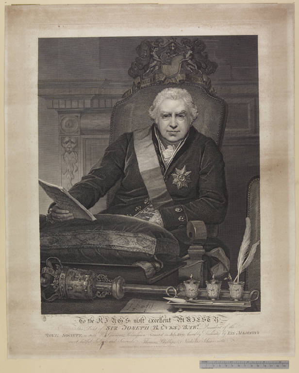 Ritratto di Sir Joseph Banks (stampa) di Schiavonetti Niccoló, Phillips Thomas (sec. XIX)