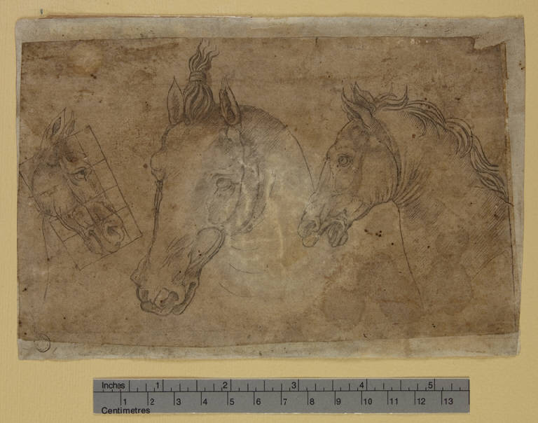 Tre teste di cavalli, Studi di teste di cavalli (stampa tagliata) di Zoan Andrea, Leonardo da Vinci (fine sec. XV)