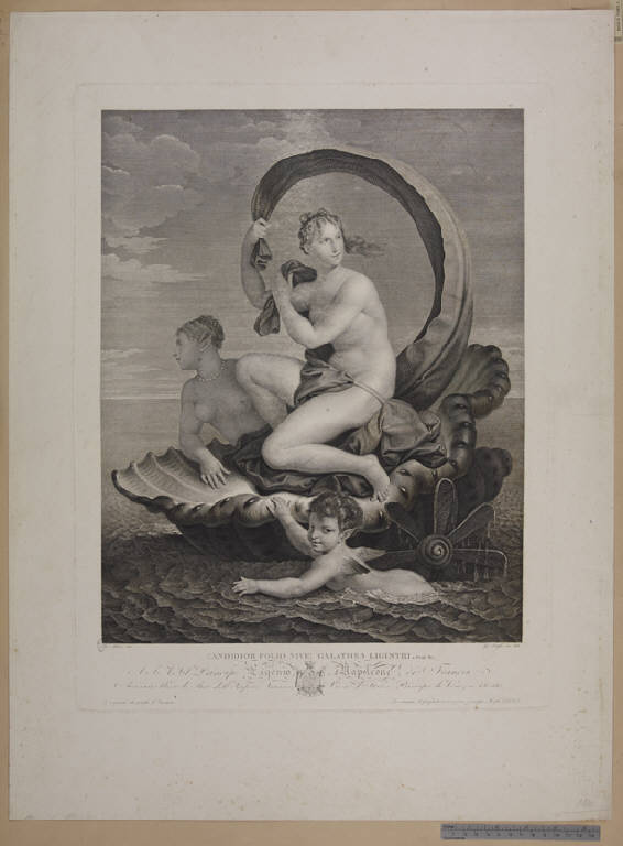 Trionfo di Galatea (stampa) di Longhi Giuseppe, Albani Francesco (sec. XIX)