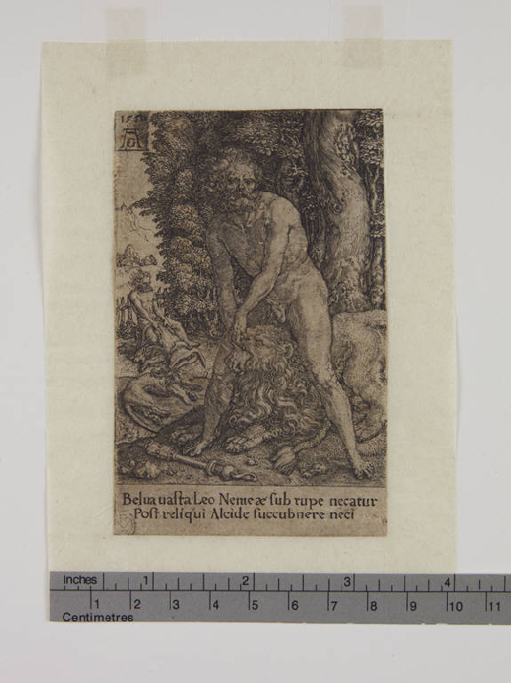 Ercole e il leone di Nemea (stampa tagliata) di Aldegrever Heinrich (sec. XVI)