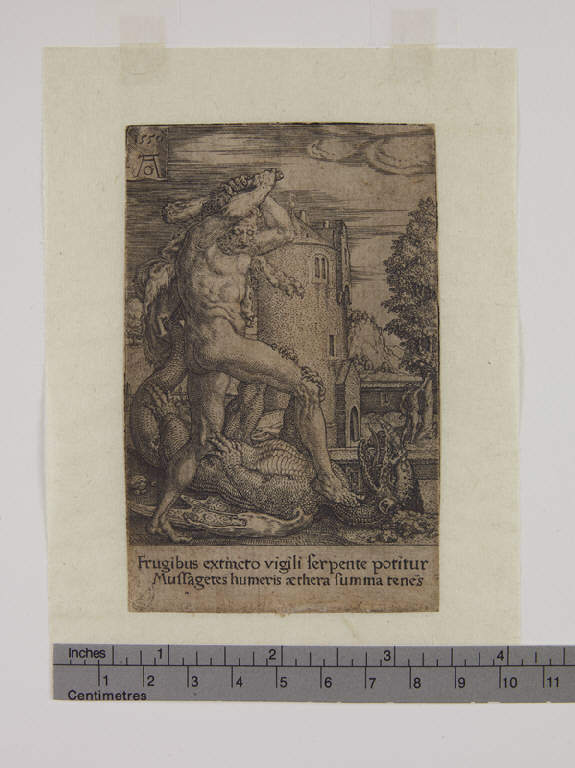 Ercole uccide Ladone (stampa tagliata) di Aldegrever Heinrich (sec. XVI)