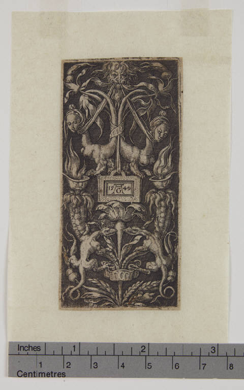 Motivo ornamentale con due lucertole, Motivo ornamentale con due lucertole (stampa smarginata) di Aldegrever Heinrich (sec. XVI)