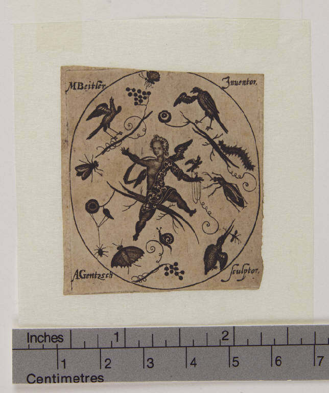 Un putto con uccelli e insetti, Motivo ornamentale con putto uccelli e insetti (stampa tagliata) di Gentzsch Andreas, Beytler Matthias (sec. XVII)