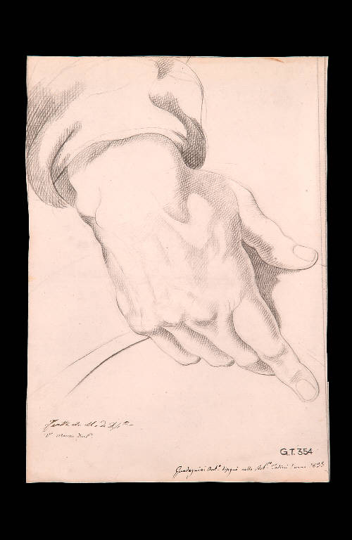 Studio di mano (disegno) di Guadagnini Antonio (sec. XIX)