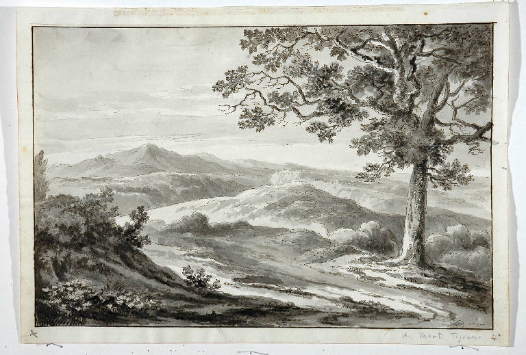 PAESAGGIO CON ALBERO (disegno, opera isolata) di Monti Tiziano (secc. XVIII/ XIX)