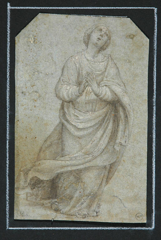 Figura di santa (disegno, opera isolata) di Sacchis Giovanni Antonio de' detto Pordenone (cerchia) (prima metà sec. XVI)