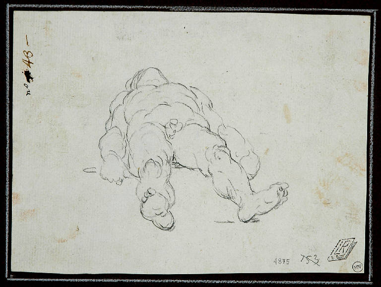 Nudo virile sdraiato (disegno, opera isolata) di Robusti Jacopo detto Tintoretto (scuola) (fine/ inizio secc. XVI/ XVII)