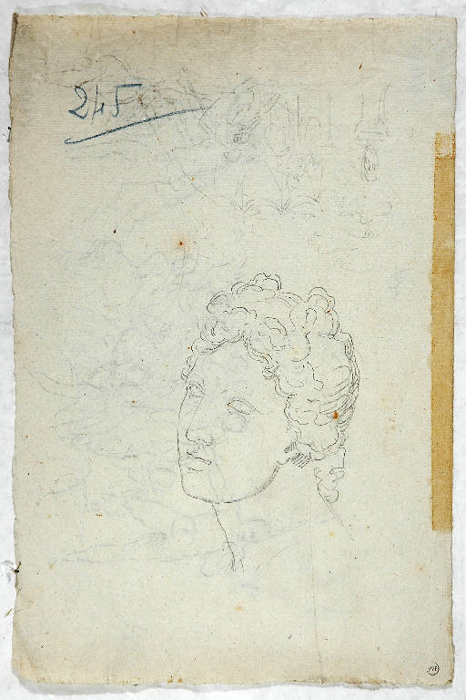 Testa femminile, TESTA DI DONNA (disegno, opera isolata) di Vacca Luigi (sec. XIX)