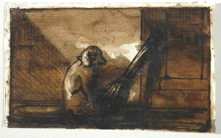 CANE (disegno, opera isolata) di Duranti Fortunato (fine/ inizio secc. XVIII/ XIX)