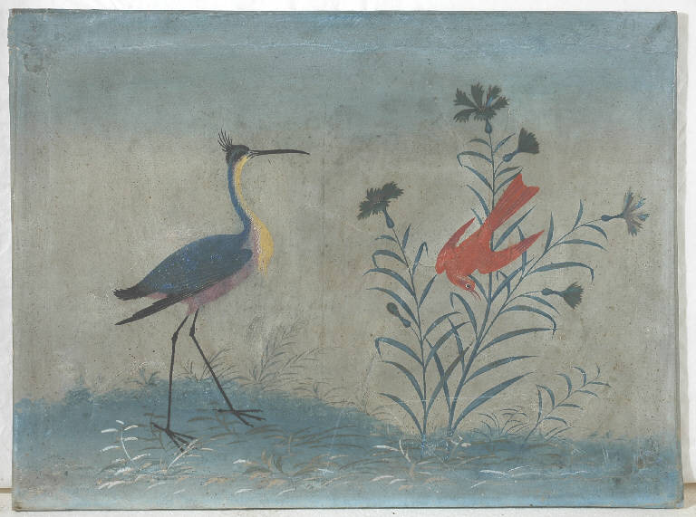 Animali/ Fiori (disegno, opera isolata) di Raineri Vittorio (sec. XIX)