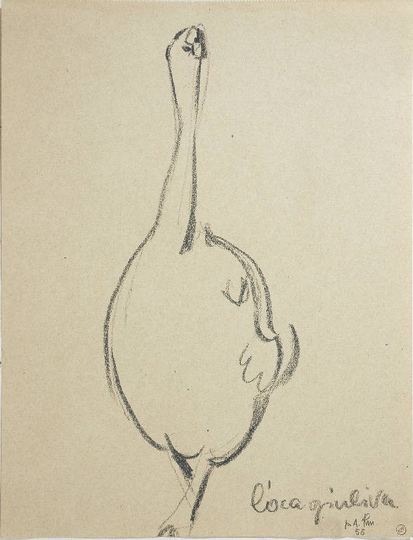 L'oca giuliva, Studio di oca (disegno, opera isolata) - ambito italiano (terzo quarto sec. XX)