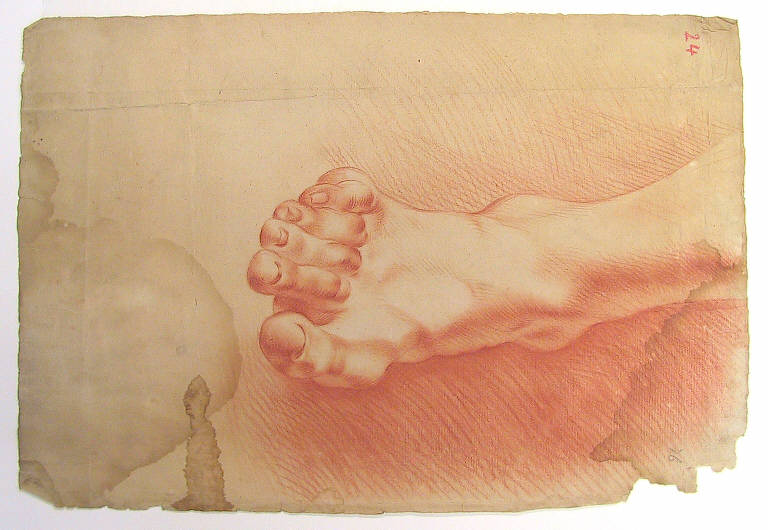 Piede (disegno, opera isolata) di Ligari Giovanni Pietro (secondo quarto sec. XVIII)
