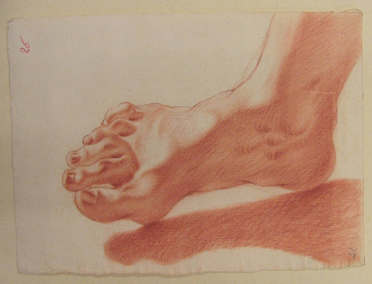 Piede (disegno, opera isolata) di Ligari Giovanni Pietro (secondo quarto sec. XVIII)
