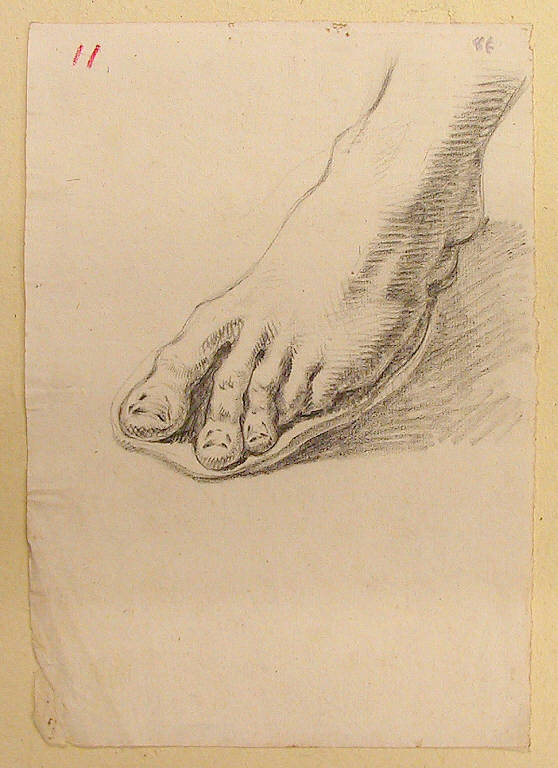 Piede (disegno, opera isolata) di Ligari Cesare (secondo quarto sec. XVIII)