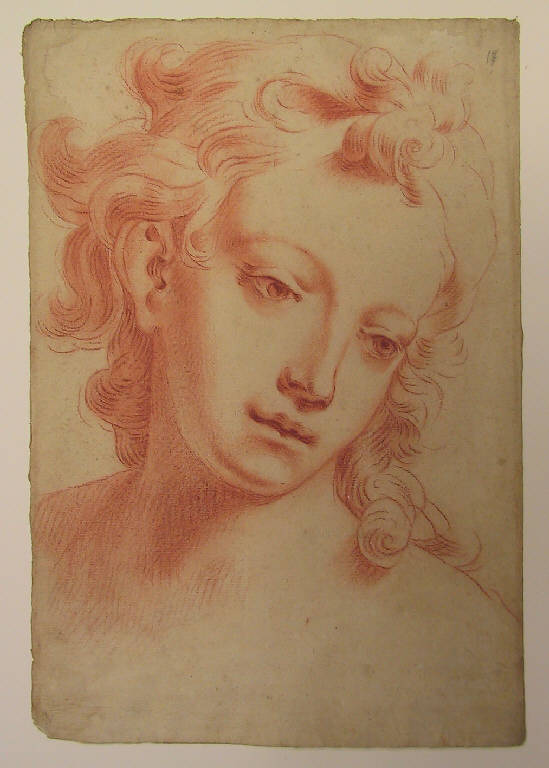 Ritratto maschile (disegno, opera isolata) di Ligari Giovanni Pietro (sec. XVIII)