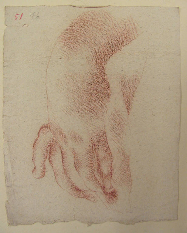 Mano (disegno, opera isolata) di Ligari Vittoria (secondo quarto sec. XVIII)