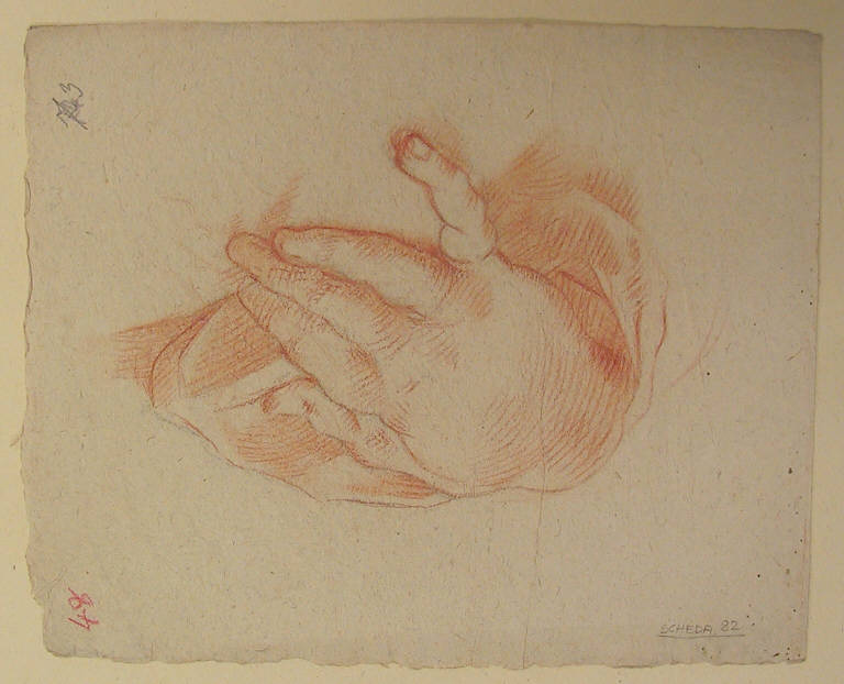 Mano (disegno, opera isolata) di Ligari Giovanni Pietro, Ligari Cesare, Ligari Vittoria (secondo quarto, terzo quarto sec. XVIII, sec. XVIII)