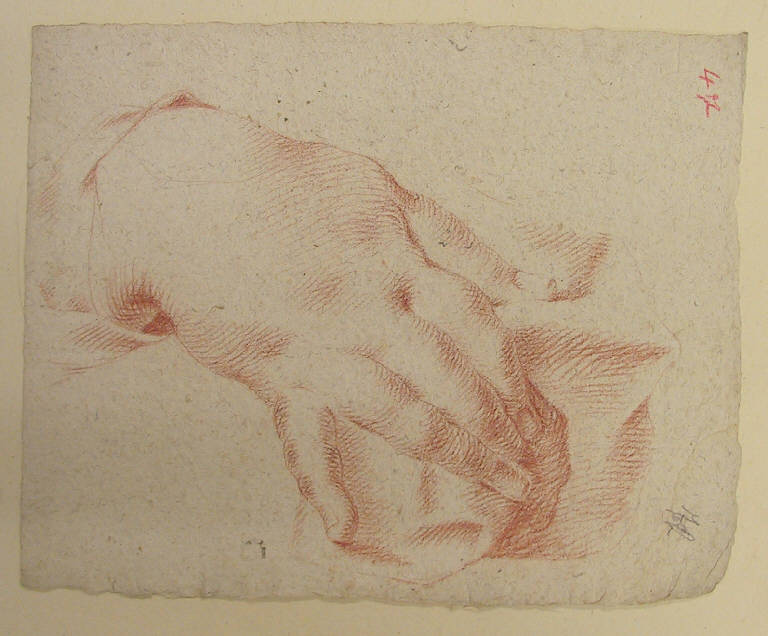 Mano (disegno, opera isolata) di Ligari Giovanni Pietro, Ligari Cesare, Ligari Vittoria (secondo quarto, terzo quarto sec. XVIII, sec. XVIII)