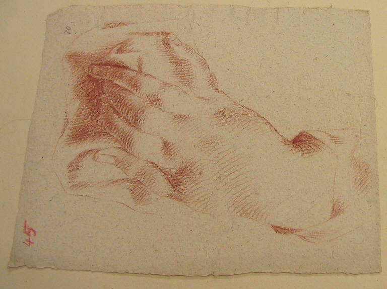 Mano (disegno, opera isolata) di Ligari Giovanni Pietro, Ligari Cesare, Ligari Vittoria (secondo quarto, terzo quarto sec. XVIII, sec. XVIII)