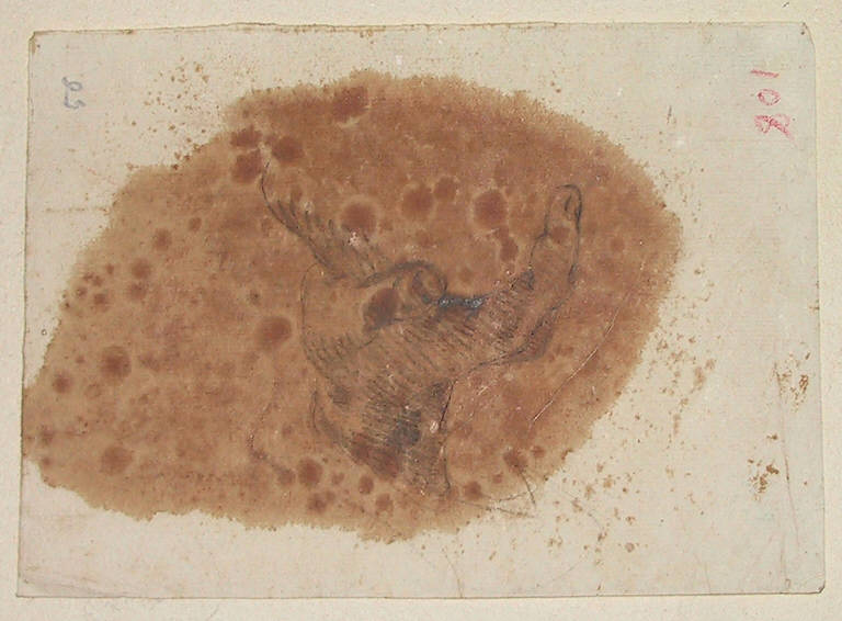 Mano (disegno, opera isolata) di Ligari Cesare (sec. XVIII)