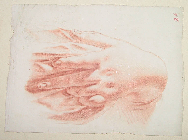 Mano/ Ritratto di bambino (disegno, opera isolata) di Ligari Giovanni Pietro, Ligari Vittoria, Ligari Cesare (sec. XVIII)