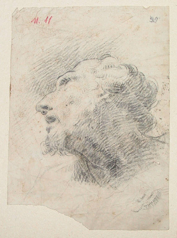 Testa barbuta (disegno, opera isolata) di Ligari Cesare (metà sec. XVIII)