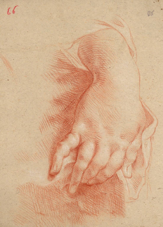 Mano (disegno, opera isolata) di Ligari Cesare (secondo quarto sec. XVIII, sec. XVIII)