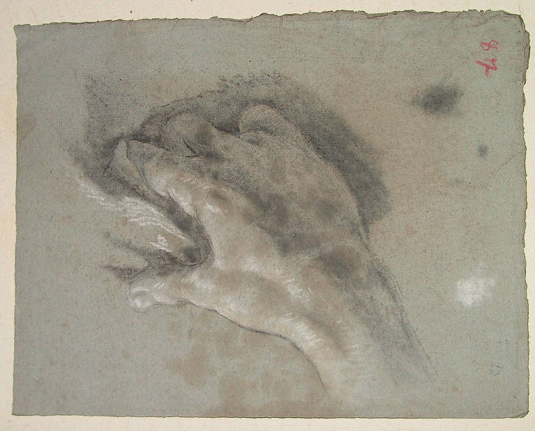 Mano (disegno, opera isolata) di Ligari Cesare (terzo quarto sec. XVIII, sec. XVIII)