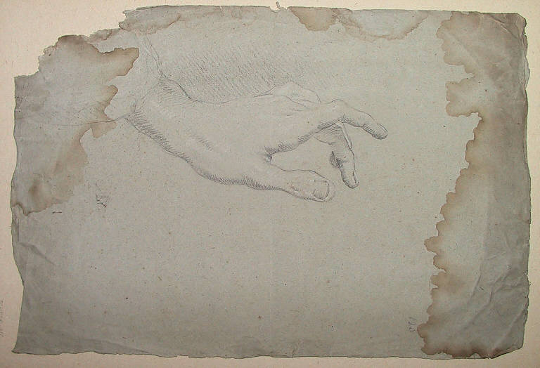 Mano (disegno, opera isolata) di Ligari Vittoria (sec. XVIII)